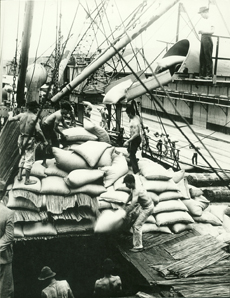 EMBARQUE de café no Porto de Santos. 1920. 1 fotografia, p&b, 16 cm x 21 cm. Acervo Apesp / MI. 