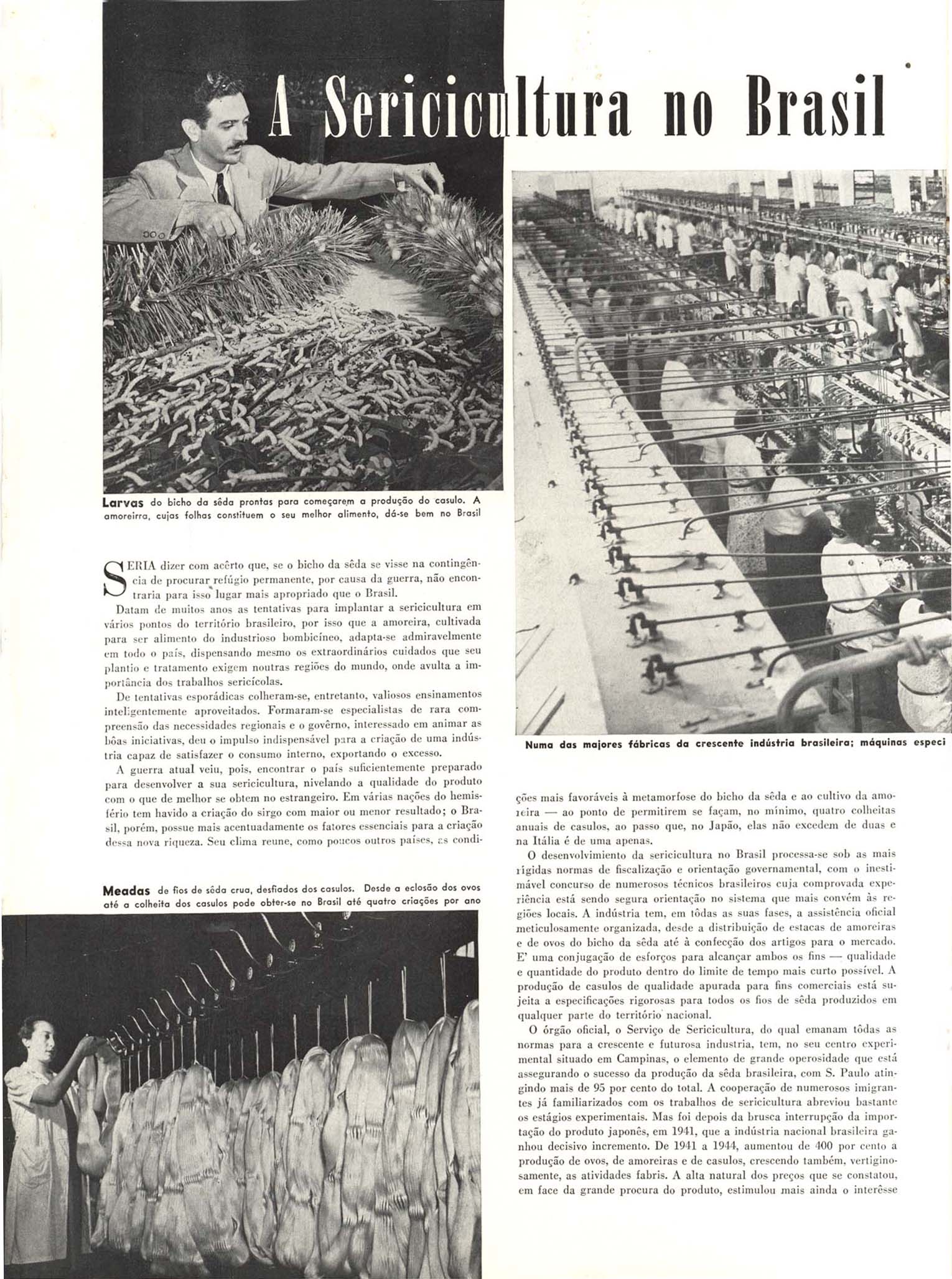 A SERICULTURA no Brasil. Em Guarda, Washington, ano 4, n. 7, p. 26-27, [194-?].