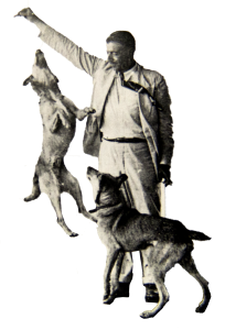 Ex&iacute;lio, volta ao Brasil e anos finais